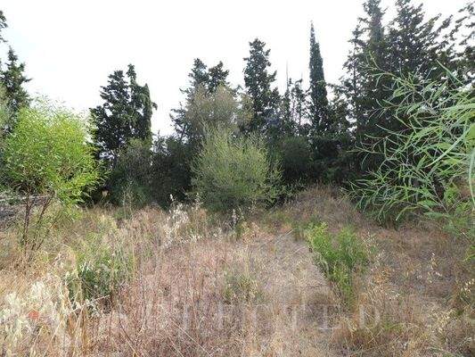 Solar für Verkauf in Bonaire, Alcudia-07