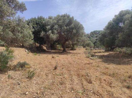 Kreta, Karoti: Grundstück mit Baugenehmigung und atemberaubendem Bergblick zu verkaufen