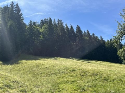 Oberstaufen Bauernhöfe, Landwirtschaft, Oberstaufen Forstwirtschaft