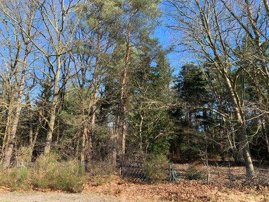 oder doch ein Holzhaus ......