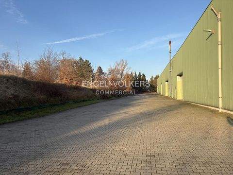 Stahnsdorf / Güterfelde Halle, Stahnsdorf / Güterfelde Hallenfläche