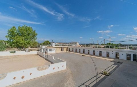 Arenal Häuser, Arenal Haus kaufen