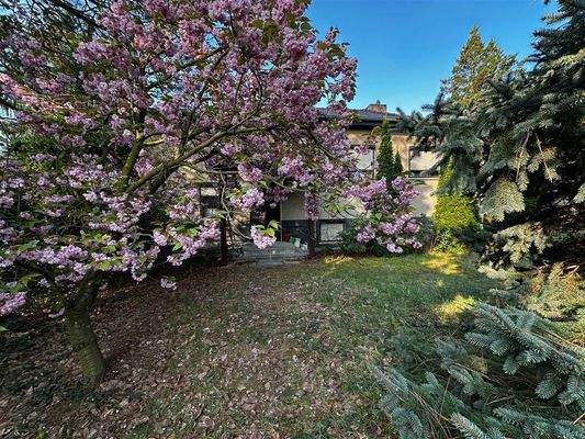 Foto 23.04.25, 08 33 58