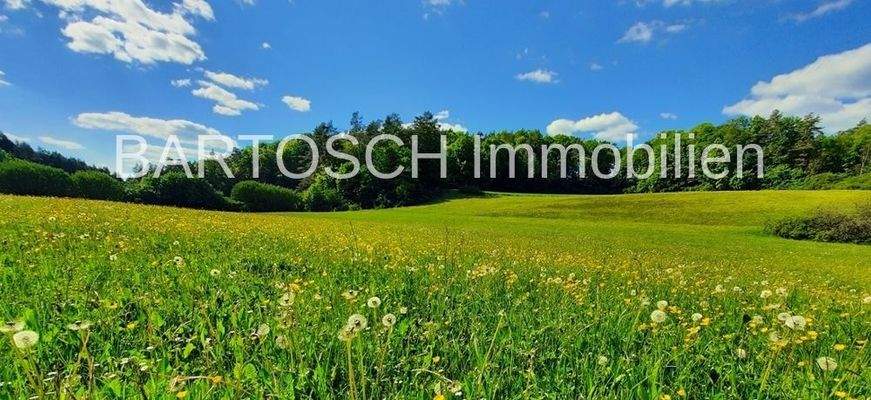 Wald - Wiese - Acker