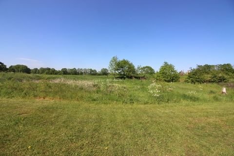 Lindewitt Grundstücke, Lindewitt Grundstück kaufen