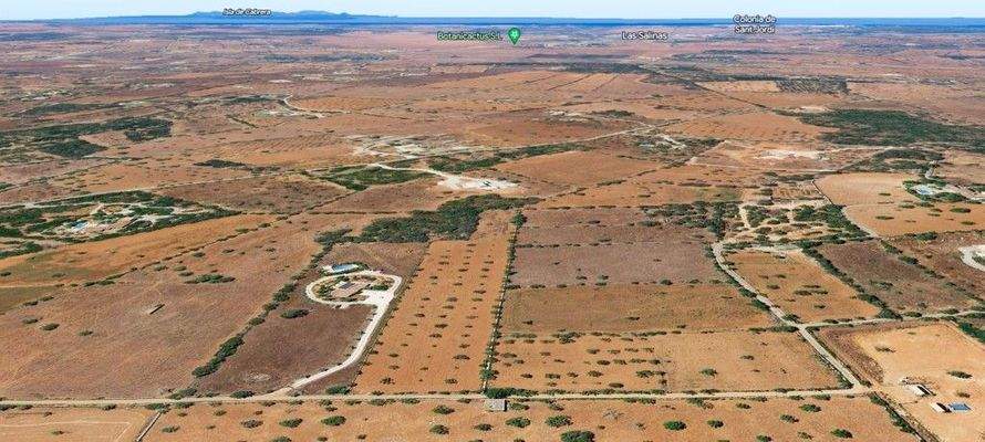 Rustikales Grundstück zum Verkauf zwischen Santanyi und Ses Salines im Süden Mallorcas