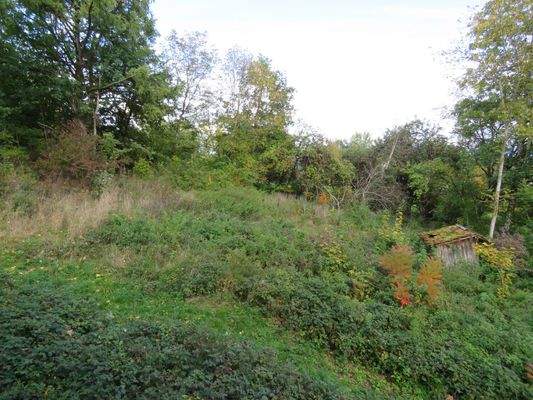 Blick vom OG in den Garten 