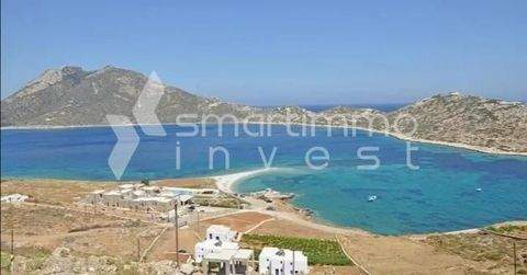 Agios Pavlos, Amorgos Bauernhöfe, Landwirtschaft, Agios Pavlos, Amorgos Forstwirtschaft