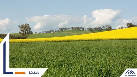 Elsdorf-Westermühlen Grundstücke, Elsdorf-Westermühlen Grundstück kaufen