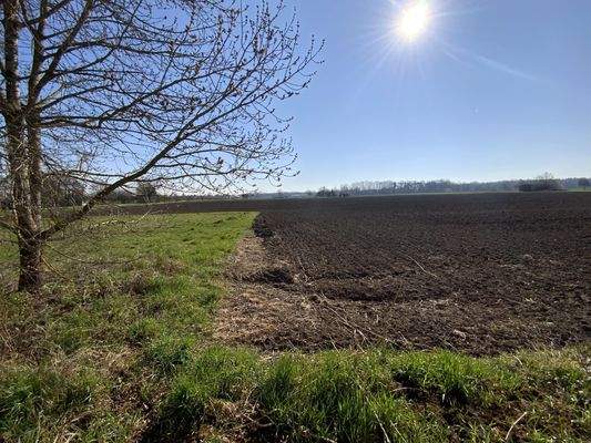 Freier Blick nach Osten
