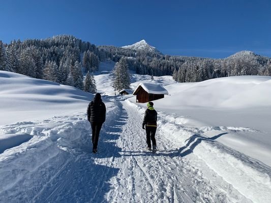 Winterwandern