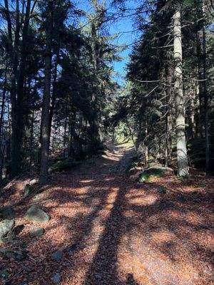 2025-11-05 10.41.10.jpg