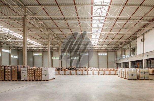 INFOS UNTER: 06171-586000