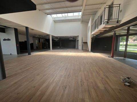 Singen Ladenlokale, Ladenflächen 