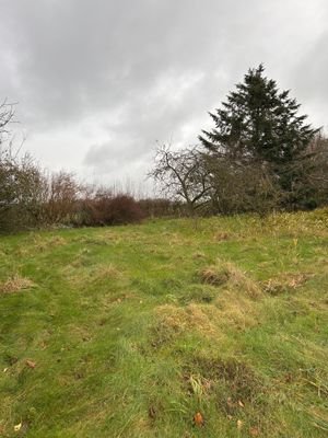 Naturbelassenes Gartengrundstück