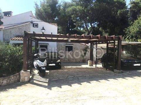 Solta Häuser, Solta Haus kaufen