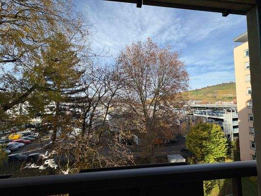Aussicht auf die Esslinger Weinberge vom Balkon