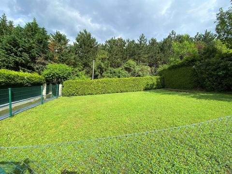 Wien Wohnungen, Wien Wohnung mieten