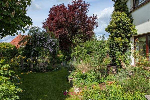 Blick in den großen Garten