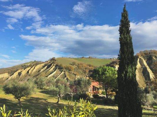 Blick von der Anliegerstraße 