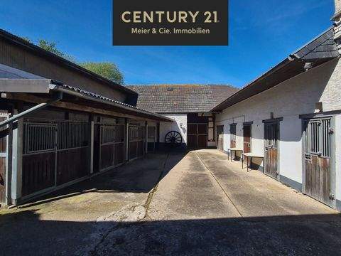 Euskirchen Bauernhöfe, Landwirtschaft, Euskirchen Forstwirtschaft