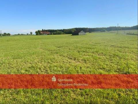 Oberrieden Bauernhöfe, Landwirtschaft, Oberrieden Forstwirtschaft