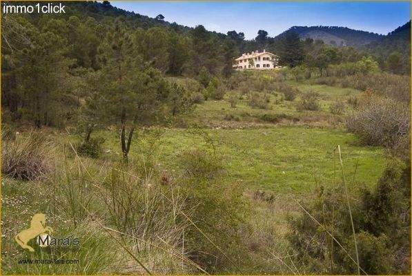 Finca mit Jagdgebiet, Cortijo, zu verkaufen, Provi