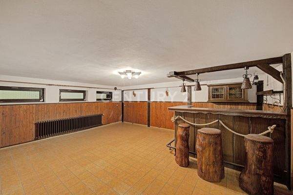 KG Partykeller oder bald Heimkino?