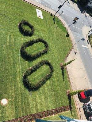 Grünflache mit Logo