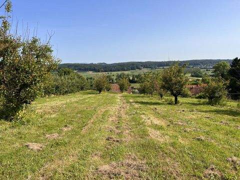 Mutzenfeld Bauernhöfe, Landwirtschaft, Mutzenfeld Forstwirtschaft