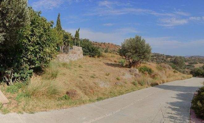 Kreta, Agia Paraskevi: Grundstück im Süden zum Verkauf