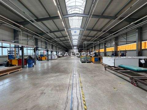 Deißlingen Halle, Deißlingen Hallenfläche