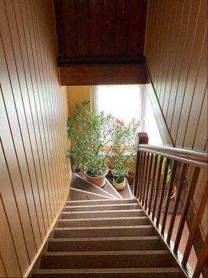Treppenaufgang - Wohnung Dachgeschoss