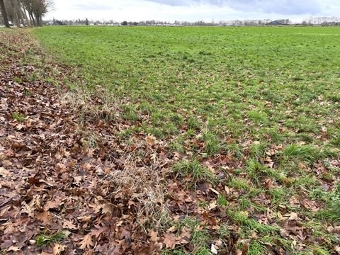 Goch Bauernhöfe, Landwirtschaft, Goch Forstwirtschaft