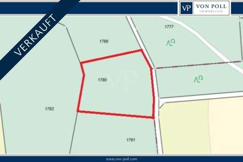 Neuhof an der Zenn Bauernhöfe, Landwirtschaft, Neuhof an der Zenn Forstwirtschaft