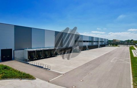 Rosbach vor der Höhe Halle, Rosbach vor der Höhe Hallenfläche