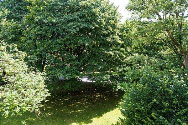 Ausblick vom Balkon I