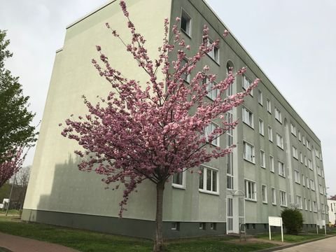 Lutherstadt Eisleben Wohnungen, Lutherstadt Eisleben Wohnung mieten