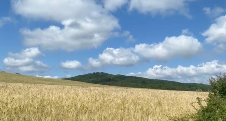 Screenshot 2025-10-20 alle 17.10.09.png