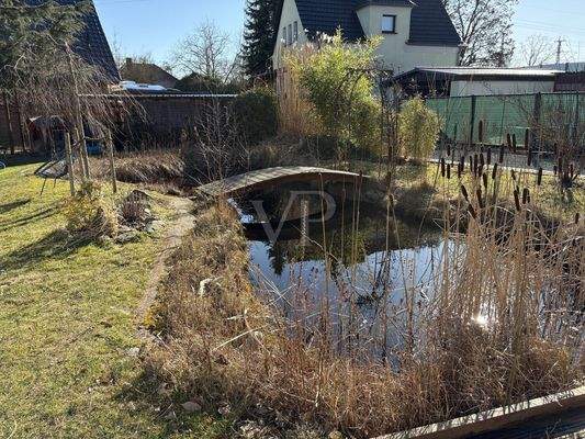 Teich mit Goldfischen