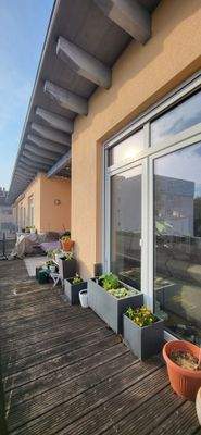 PLATZ FÜR MENSCHEN MIT GRÜNEM DAUMEN