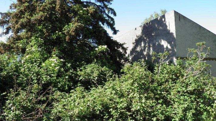 Grundstück Strassens. m. re. Nachbarbebarnuung