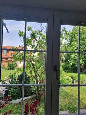 Blick zum Garten