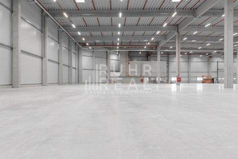 Nettetal Halle, Nettetal Hallenfläche