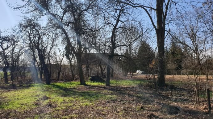 Grundstück Blickrichtung Süd 2