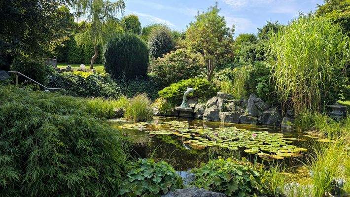 Aufwendig gestaltetes Grundstück