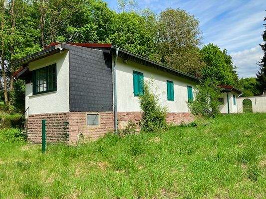 Vorderer Garten aktuell.jpeg