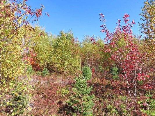 Nova Scotia - Smithfield - Wunderschönes 47-Hektar