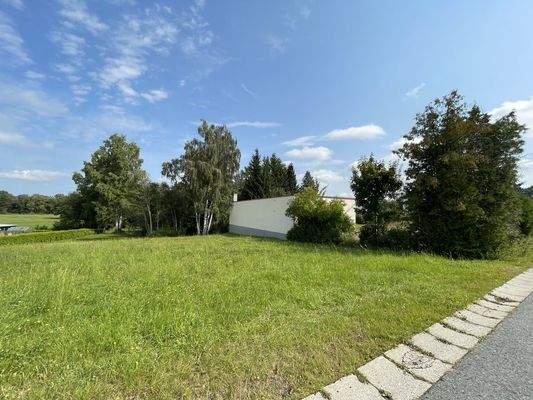 Blick vom Nachbarsgrundstück der Wiese zum Verkaufsobjekt