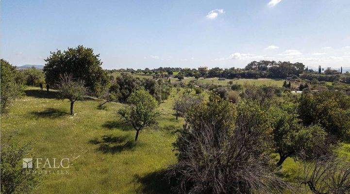 grundstueck-selva-24